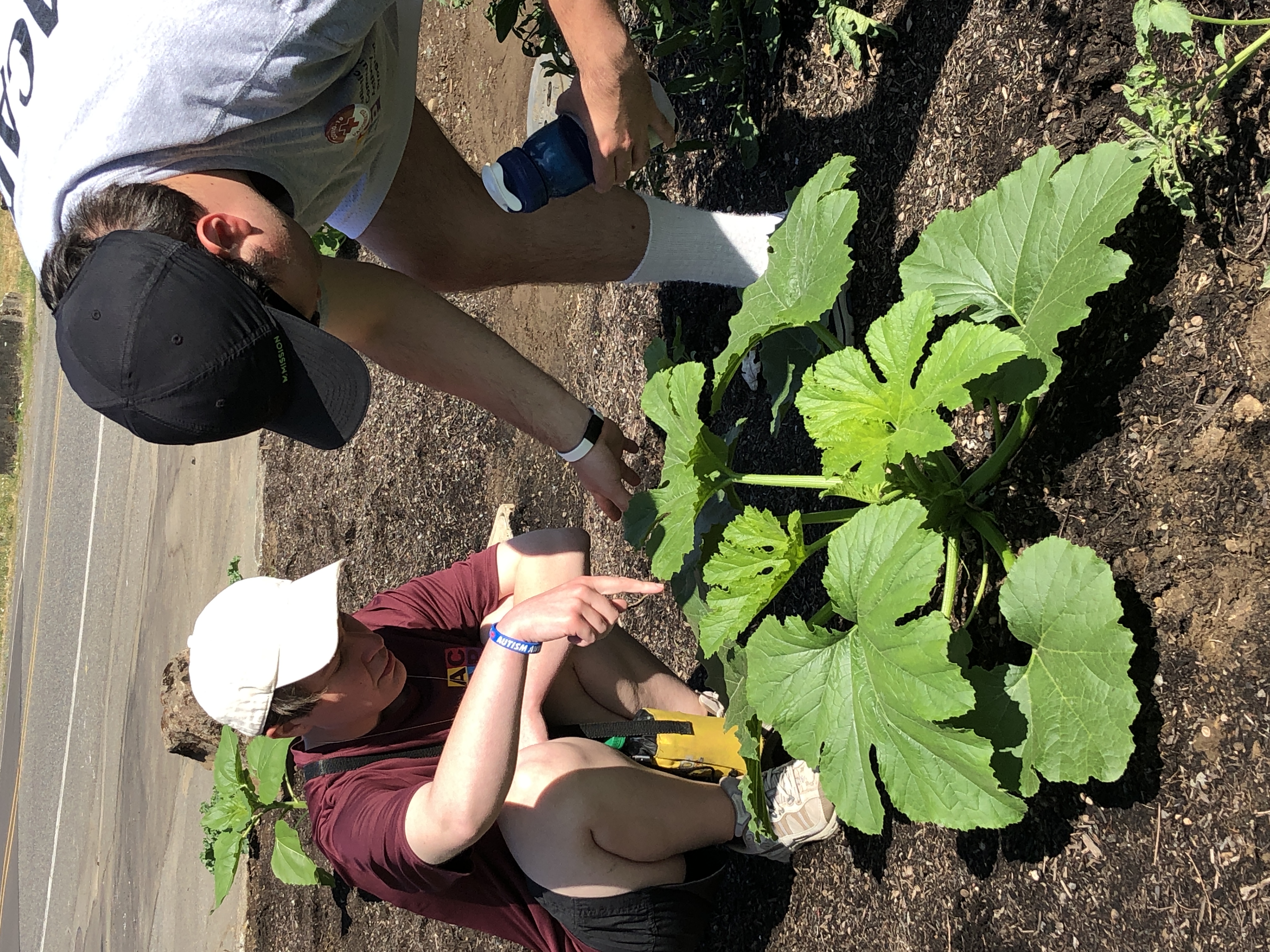 Two mentors gardening outside.
